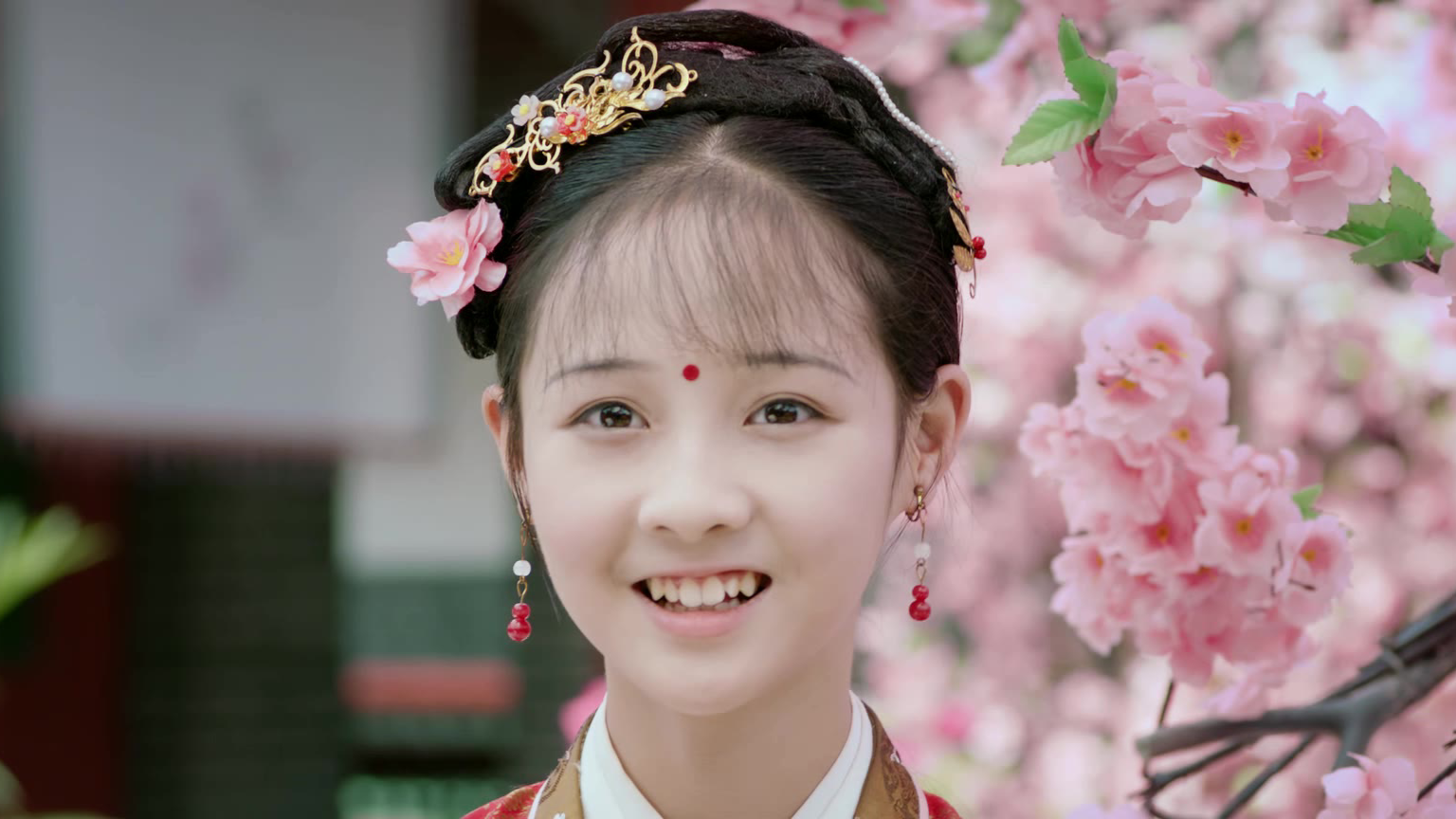 红楼一梦